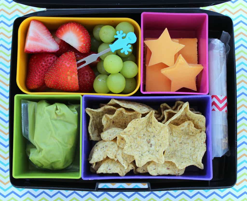 School lunches don't have to be an added stress this back to school season! Check out these awesome ideas to keep school lunches healthy, simple, and fun!