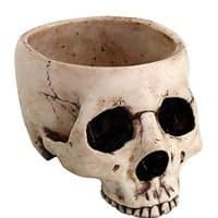 Skeleton Bowl
