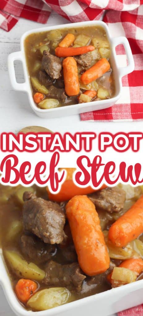 Instant Pot Beef Stew in dish