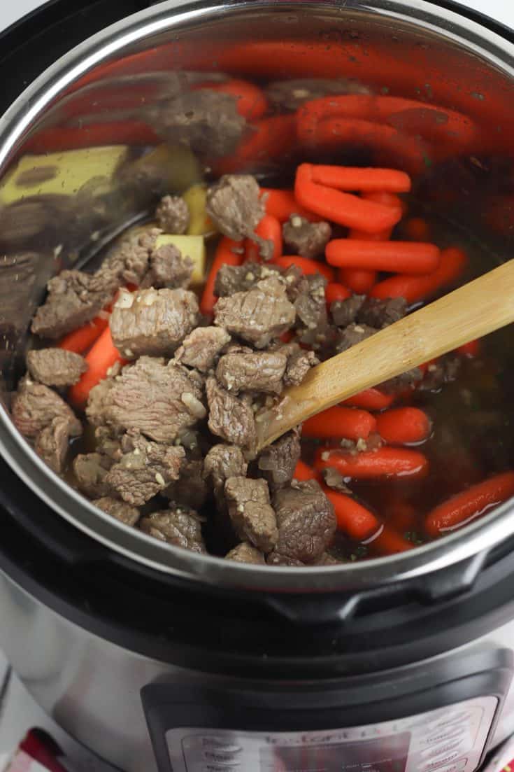 The Easiest Instant Pot Beef Stew Recipe - Because Mom Says