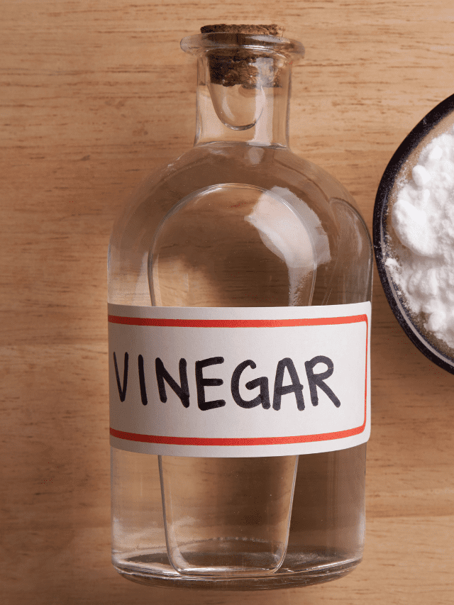 Vinegar