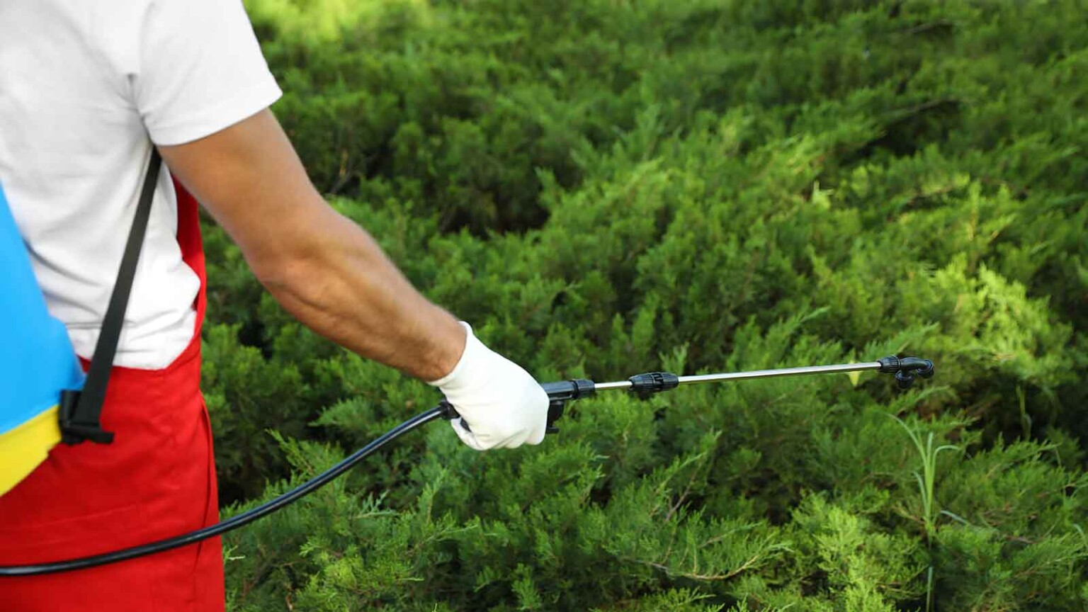 18 Highly Paid Jobs That Struggle To Attract Candidates Because Mom Says