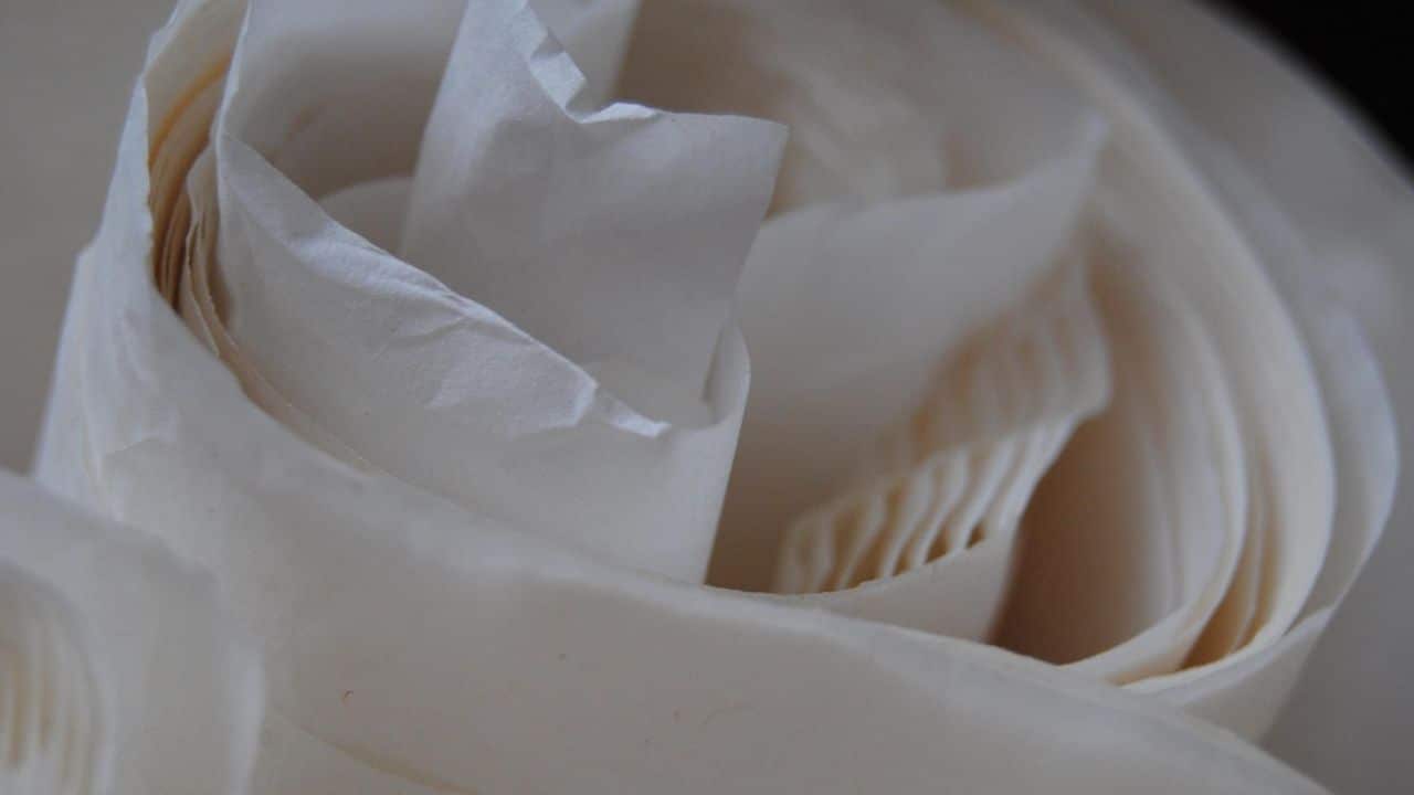 No Parchment Paper? Try These Easy Alternatives – Because Mom Says